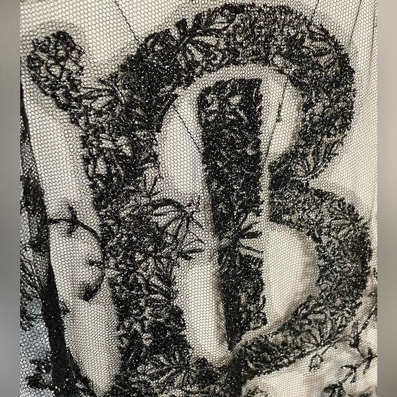 Burberry Dress Tasselled Tulle Overlay Size 6 2020 Runway Retails $5500 Rare - Picture 5 of 16